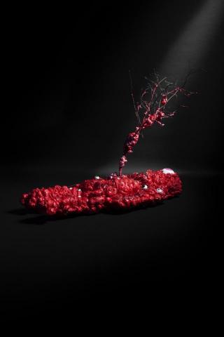 李同學 - 藝術品拍攝 李同學 - 藝術品拍攝