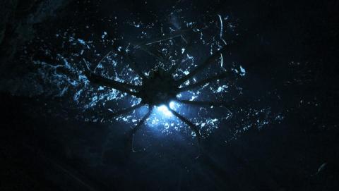 DWH - Use Fuji X-s10