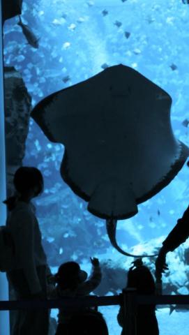 DWH - Use Fuji X-s10