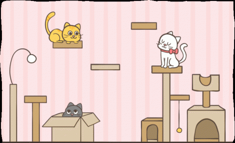 阿學RXue - 阿學 x SPCA|【動保小學堂】動畫製作 阿學RXue - 阿學 x SPCA|【動保小學堂】動畫製作