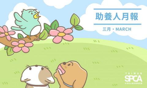 阿學RXue - SPCA|banner設計 阿學RXue - SPCA|banner設計