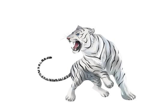 淳粹電繪 - 動物插畫