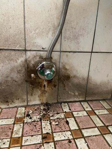 極簡水電維修行-五星卓越專家《於本平台暫停服務》 - 於本平台第二十單維修
馬桶進水凡爾斷牙取出
及更換進水軟管及另件