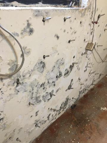 佑寶企業社 - 打針