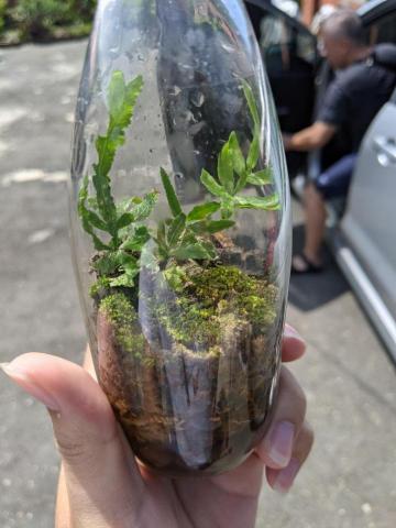 李家慶 - 生態瓶製作