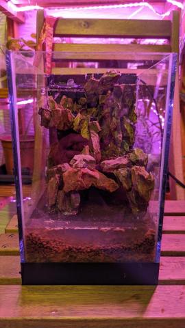 李家慶 - 生態箱製作