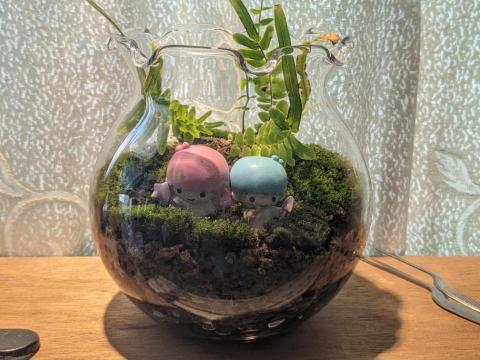 李家慶 - 生態瓶製作