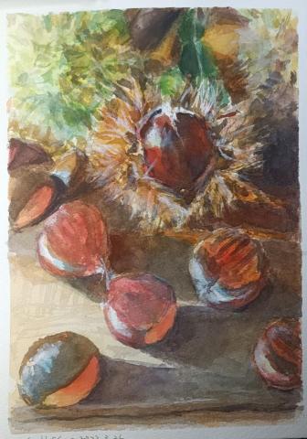 靈果繪畫工作室 - 水彩靜物