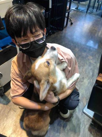 提供奧數教程服務的專家鄒定倫