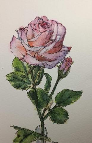 靈果繪畫工作室 - 水彩植物