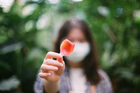 謝宗佑 - 攝影作品