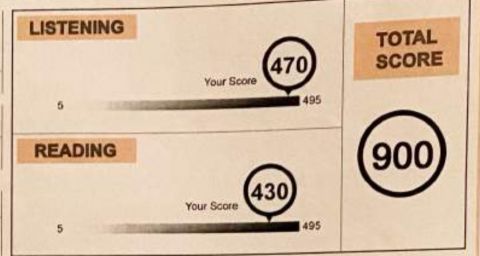 Lindsey P. - 多益考試成績