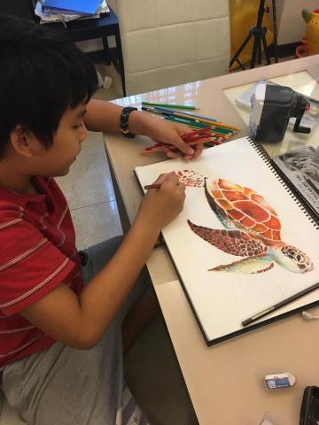 郭怜妃 - 教學中 色鉛筆海龜