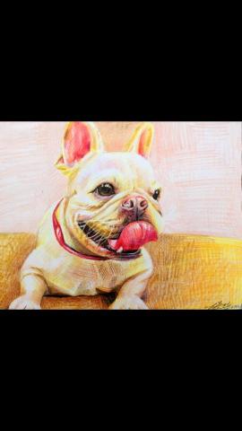 郭怜妃 - 色鉛筆狗狗