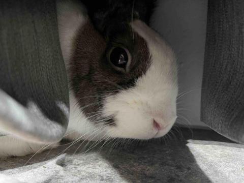 提供服裝服務的專家Ai Ti Na