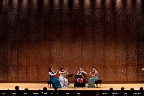 陳映蓁老師/中提琴、小提琴、樂理 - 