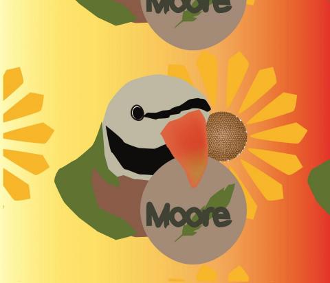 讀心娃娃繪畫工作室 - 電腦繪圖(illustrator)  讀心娃娃繪畫工作室 - 電腦繪圖(illustrator)