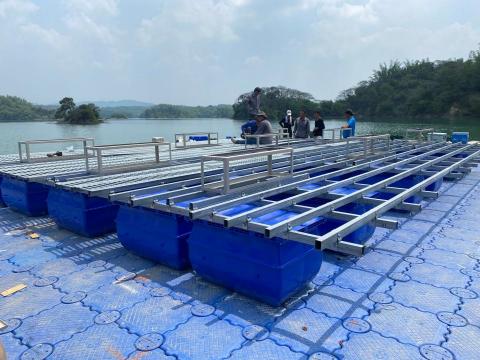 陳萲芠 - 台南市府太陽能工程口譯-為期4個月