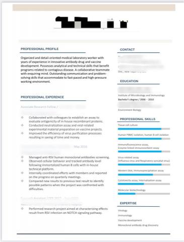 paislee - 英文履歷排版