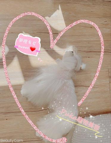 黃進楷 - 慵懶的下午時光