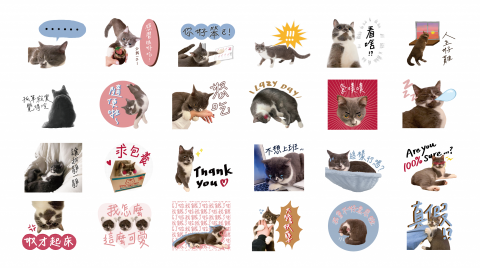 剪剪 ✦ 設計、合成、英文 - 寵物貼圖設計 剪剪 ✦ 設計、合成、英文 - 寵物貼圖設計