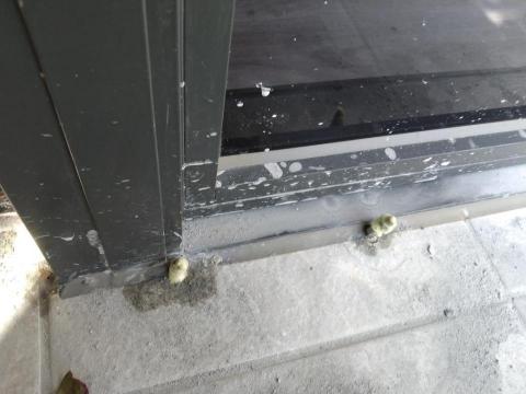 科技抓漏.驗屋.免打除修復.屋頂防水-邦全工程行 - 