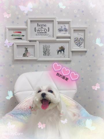 黃進楷 - 萌萌拍照區