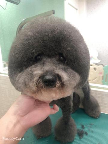 黃進楷 - 好重的頭???