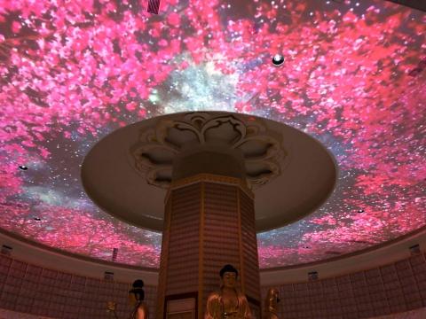 新采工程行 - 投影機往天花板照射成了一顆櫻花樹