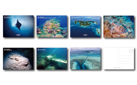 碧益整合行銷 -  碧益整合行銷 -