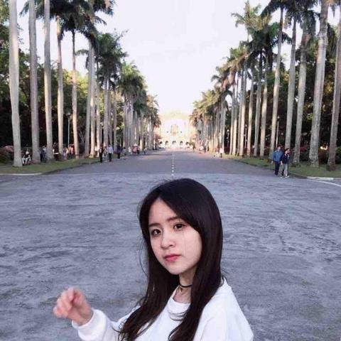 提供108指考五標服務的專家鄭若妤