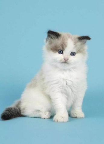 提供油壓服務的專家TM