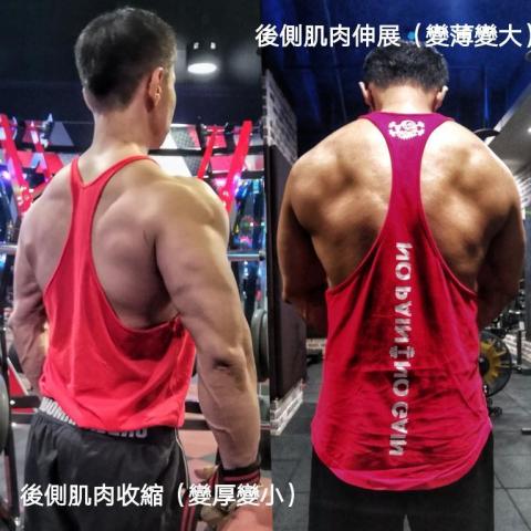 黎震遐 - 肌肉對稱訓練