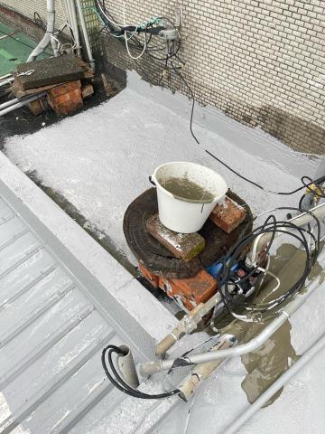 百事工程 - 樹林 百事工程 - 樹林