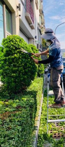 森匠景觀工坊 - 辦公大樓景觀維護