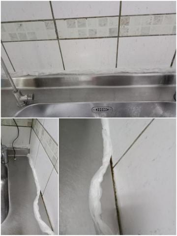 張馨云 - 廚房洗手台矽利康黴垢，敷臉除霉
