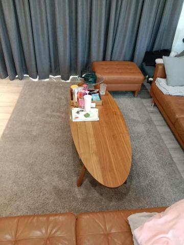 馨云居家清潔 - 特殊地毯清潔