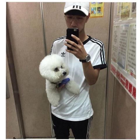 提供寵物美容接送服務的專家hanjin