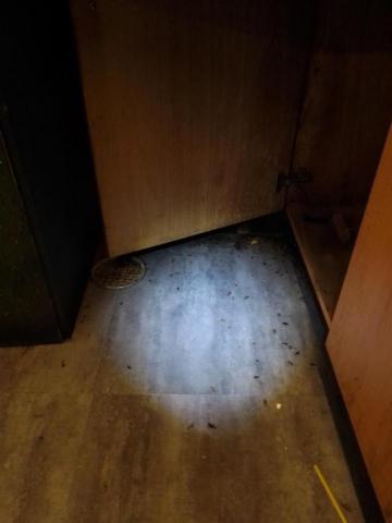 驅蟲氏除蟲消毒工作室 - 德國蟑螂防治