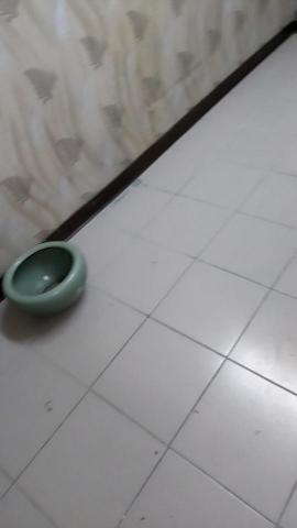  陳玉蓮 - 清理後