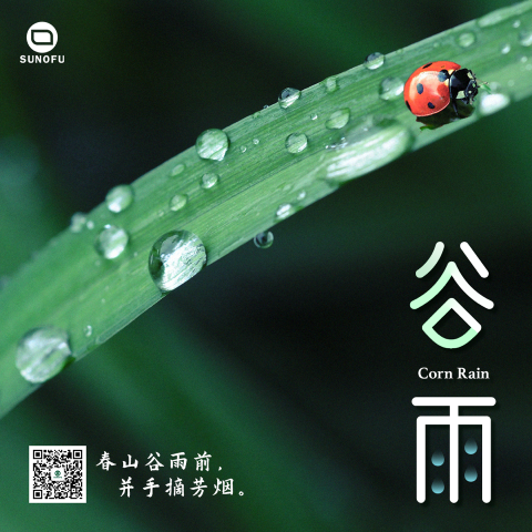 Howard Hsu - 穀雨海報 & 標準字設計