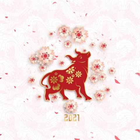 花花 - 2021牛年賀圖 花花 - 2021牛年賀圖