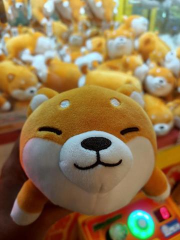 提供台中大里服務的專家布丁