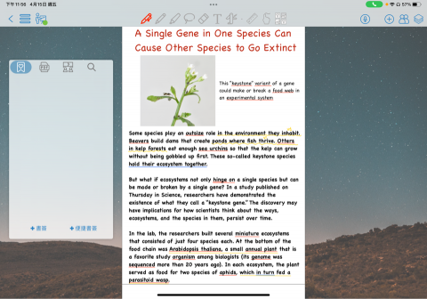 詹子毅 - 新聞英文