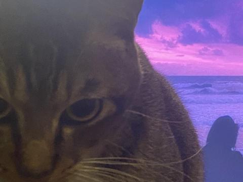 提供寫歌服務的專家劉沛勳