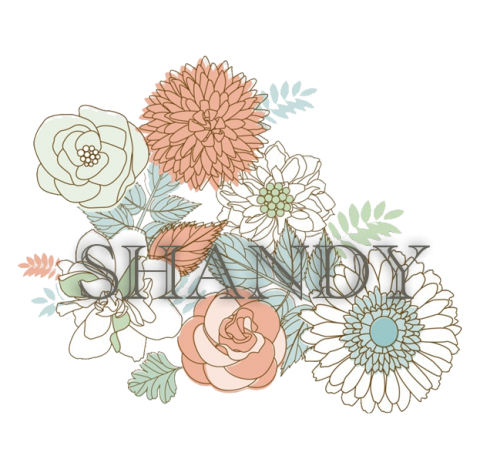 提供Word Excel服務的專家Shandy