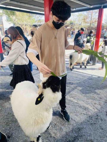 提供理髮剪服務的專家小莊