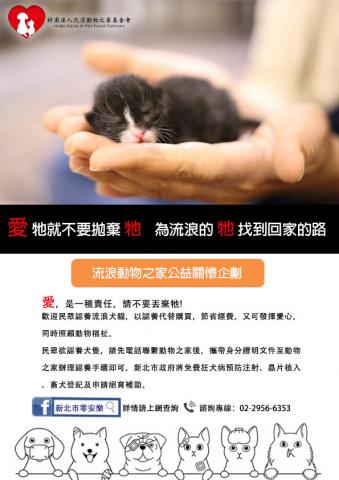 黃承蘋 - 流浪動物之家貓系列海報設計