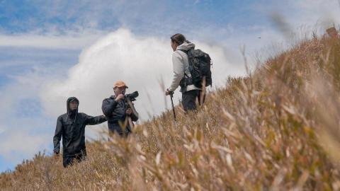 Timmons 攝影工作室 - 戶外拍攝