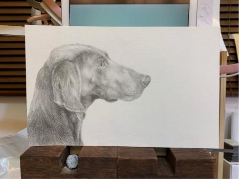 1200km動物精緻壁畫 -  1200km動物精緻壁畫 -